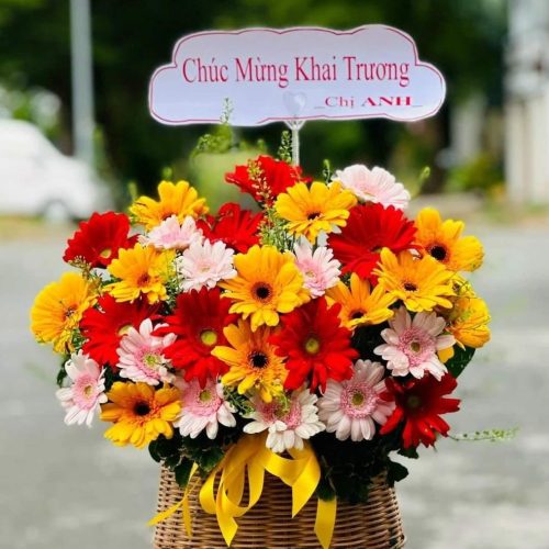 Hoa Giỏ Khai Trương Đồng Tiền Nhiều Màu Đà Nẵng #017